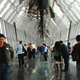 Image for article titled Shang-Highed: On Top of the World's Tallest Observatory
